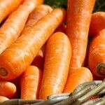Mercury and Vegetables