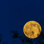 Capricorn Lunar Wisdom