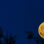 Full Moon in Aquarius