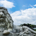 Season of the Leo Sun