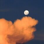 Moon of Social Grace