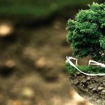 Earth-Sign Grounding Influence
