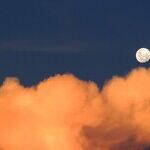 Aquarius Moon Quandary