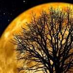 Moody Moon