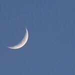 Quirky New Moon