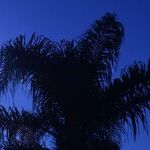 Solar Shift to Optimism