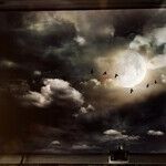 Moon Prays From Pisces