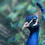 Mercury Retrograde Sign Change