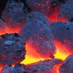 Venus Coal-Walker