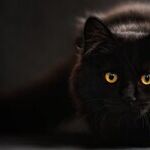Solar Science and Superstition