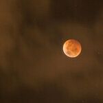 Leo Full-Moon Lunar Eclipse