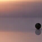 Balance Moon