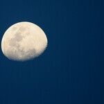 Swollen Moon