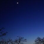 Venus Goes Visionary