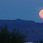Ramp-Up to Harvest Moon