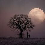 When the Moon Comes Down to Earth