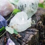 Love's Wounds Mend This Libra Moon