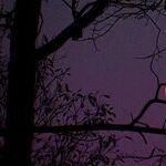 Blue Moon of Kentucky and Other Places