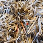 Paper Shredder Moon