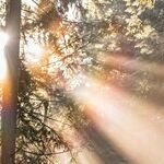 Sun Change, You Change