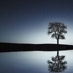 Full Moon's Question