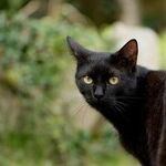 Venus Takes the 'Un-' Out of Lucky Friday the 13th