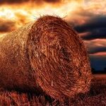 Harvest Moon Eve