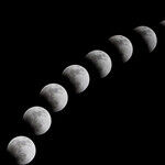 Taurus Full Moon Pulls the Stops