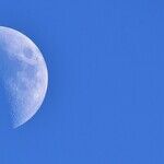 The Moon of Mind Your Own Business