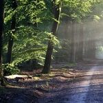 The Cosmic Conundrum of Retrogrades