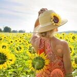Virgo Sun Check-In