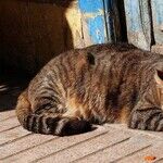 Saturn Hits Snooze
