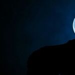 Planetary Hecklers and Provocateurs