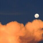 Hangry Morning Moon