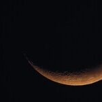 New Moon Open Casting Call
