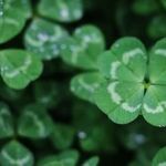 New Moon Musings