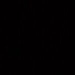 Full Moon and Lunar Eclipse