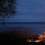 Venus Fans St. Brigid's Day Fire