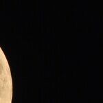 Appetite Moon Reminder