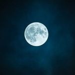 Moon Goes Home