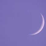 New Moon of Eight, Eight