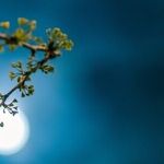 New Moon In Libra; Pluto Goes Direct