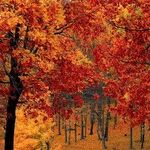 Autumnal Equinox