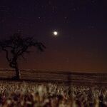 Venus Retrograde Opportunity
