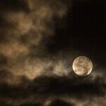 Lunar Twist