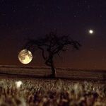 Lunar Squares
