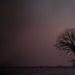 Snow Moon Alternatives