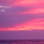 Raw Days of Venus in Pisces