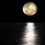 Restless Moon