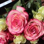 Mother's Day